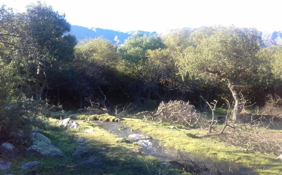 Hosteria El Cambio - Housity