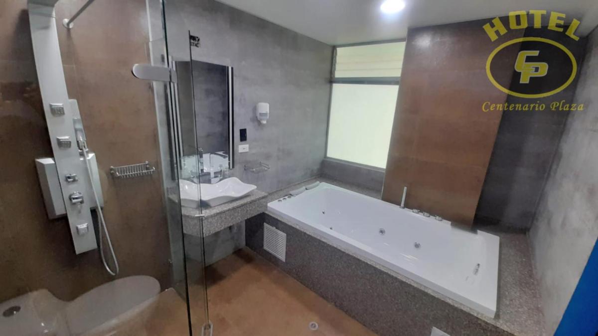 Hotel Centenario Plaza - Housity