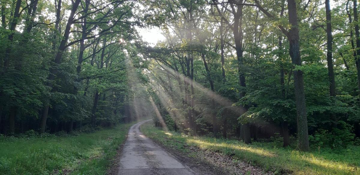 Suitetrails - Vadászház Karád