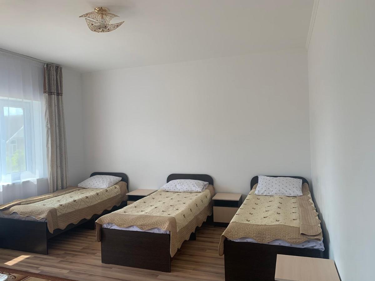Suitetrails - Delfin Murok