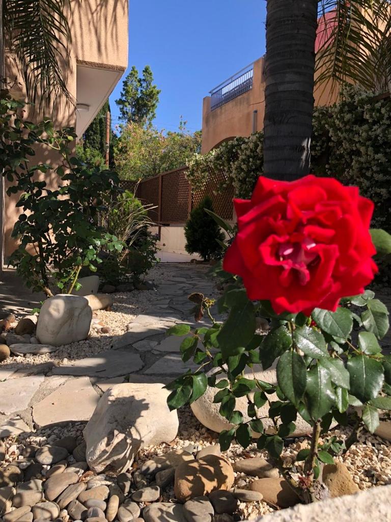 Suitetrails - Town House, Ilios II, Kato Paphos