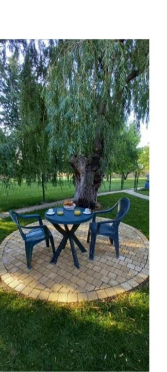 Suitetrails - Logement lumineux, entièrement rénové avec jardin