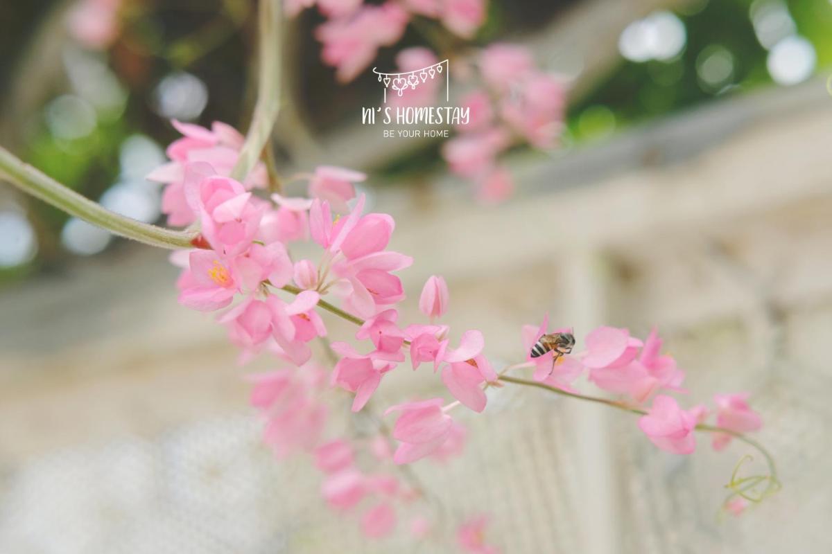 Ni's Homestay - Hizvo