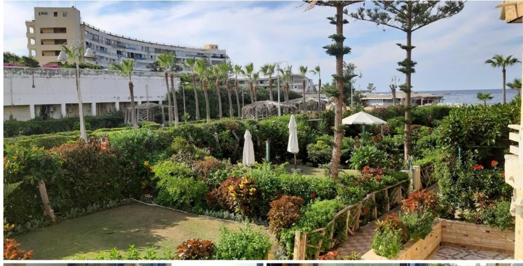 Suitetrails - 2bed rooms 95m, Garden&sea view, first floor, Family only دور اول بمدخل مستقل