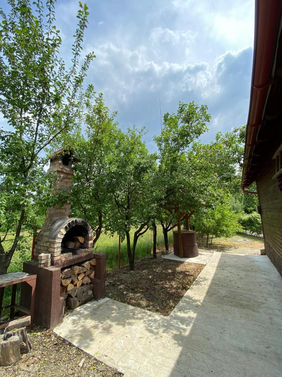 AB’s rustic cabin - Housity