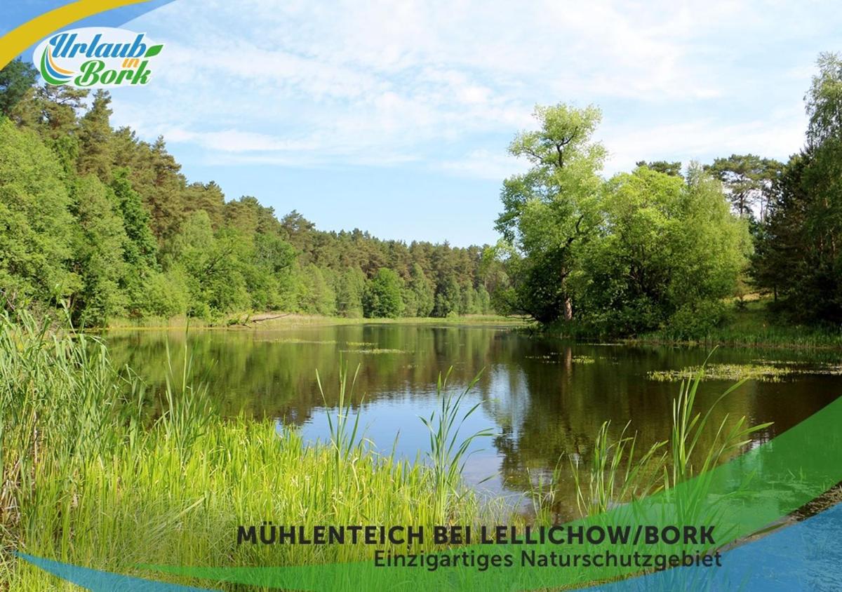 Familien-Suite-im-Wald-am-See - Housity