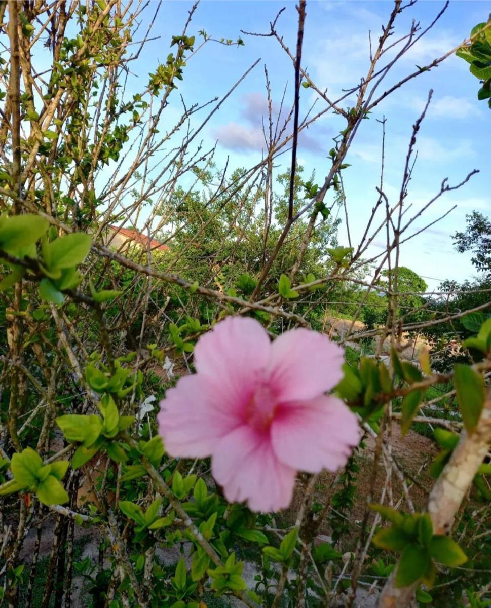 Quinta Flor-de-Lis - Housity