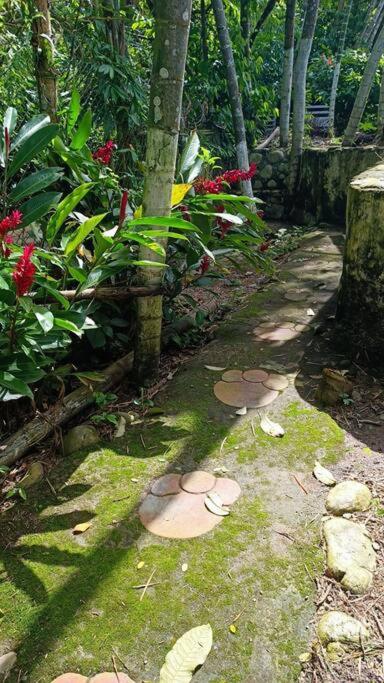 Suitetrails - Casa de campo llena de vida con Jacuzzi