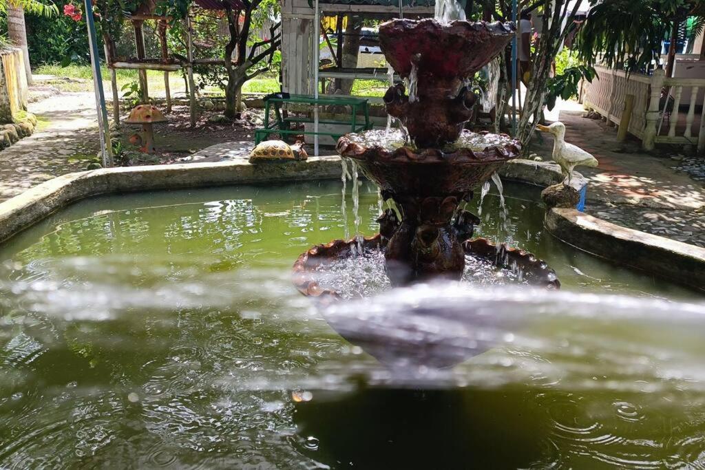 Suitetrails - Casa de campo llena de vida con Jacuzzi