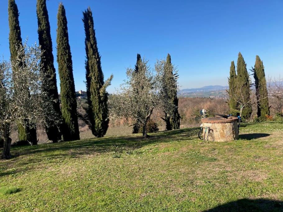 Palazzetta - Charming Country House in Todi - Housity