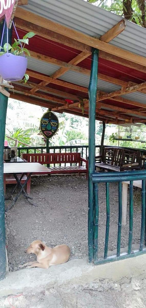 Suitetrails - Camping Paradise and Singalong Mountain Garden