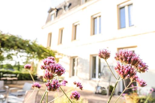Dans maison de charme, bel appartement privatif - Housity