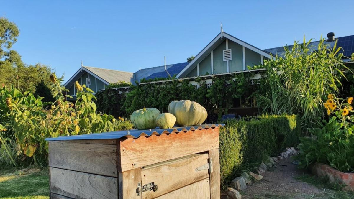 Suitetrails - Belkampar Retreat - Authentic Farm Style Home - Perfect For Families and Large Groups!