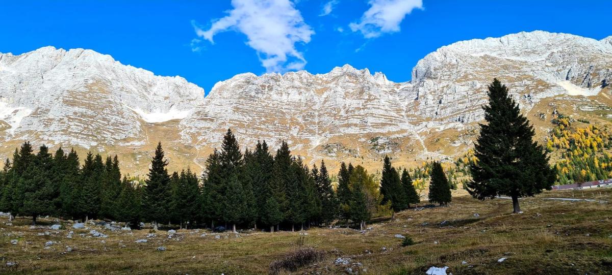 Suitetrails - IL RISVEGLIO