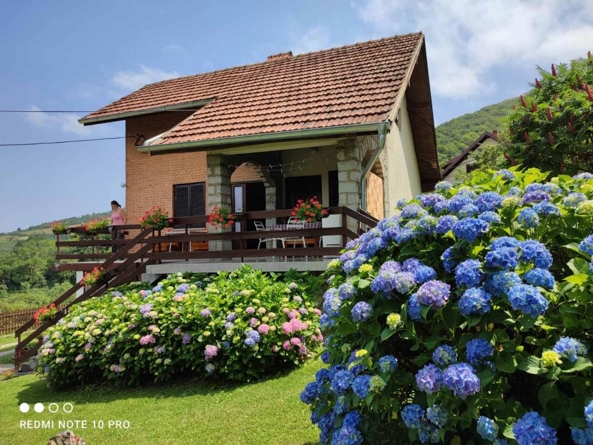 Apartman Jovanovic-Rudnik - Housity