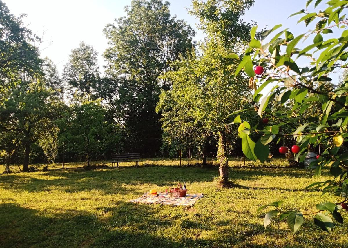 Apartmán U Litomyšle - Housity