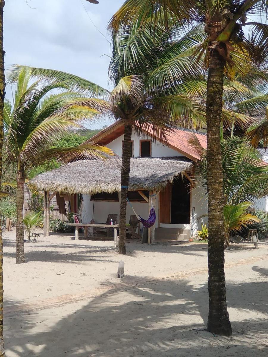 Beach Front Bungalows at the Coconut - Housity