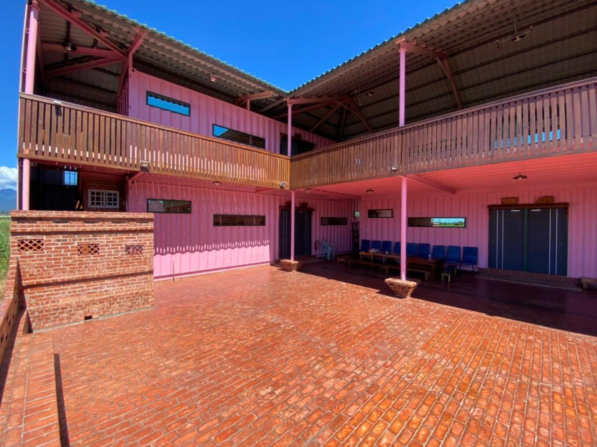 Zhenan Pink Panther - Housity