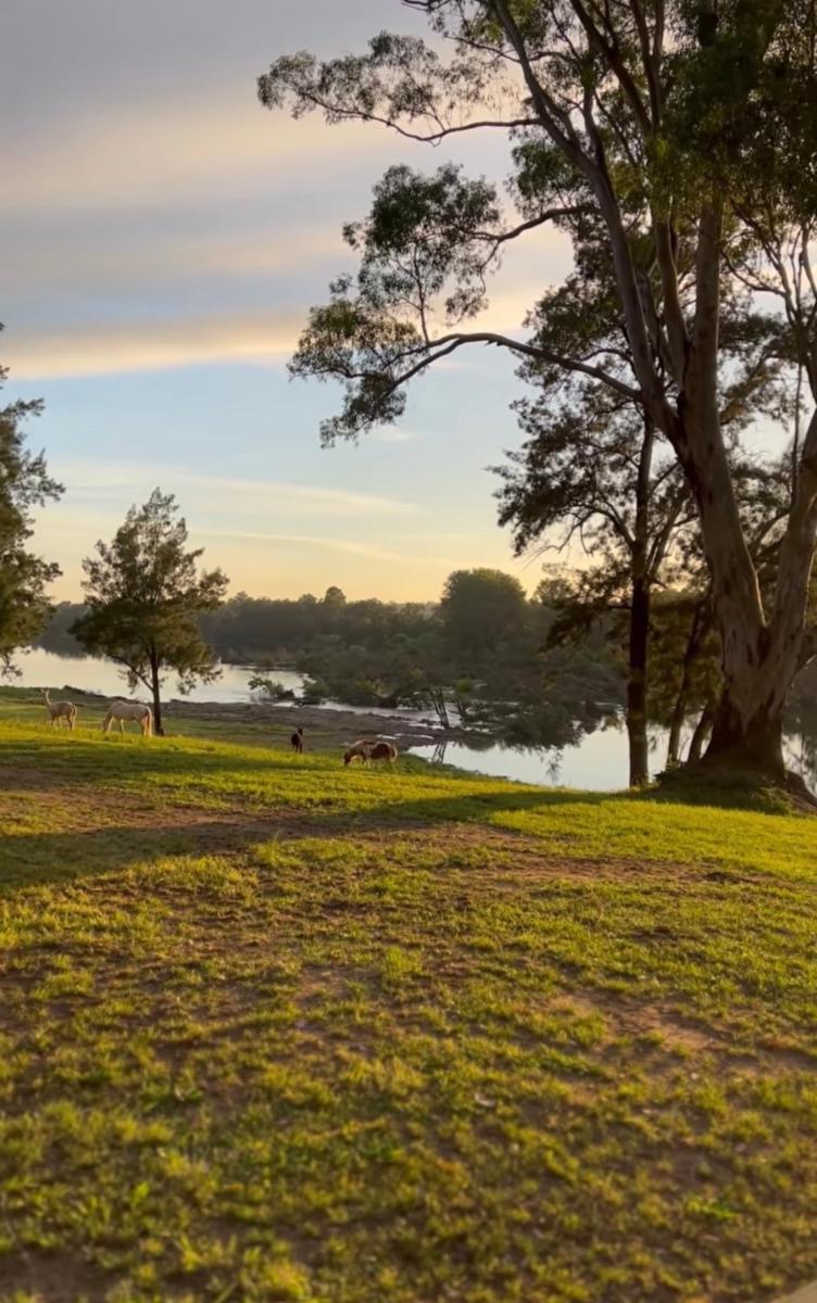 Tiny River Houses Yarramundi - Housity