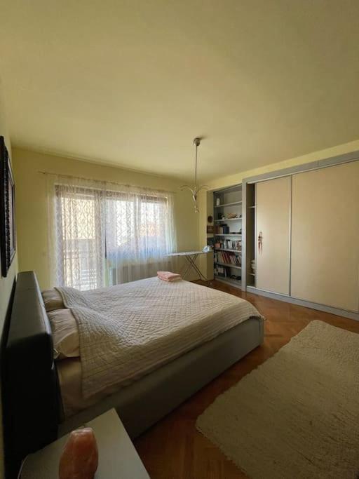 Lovely and spacious apartment in Prishtina center - Housity