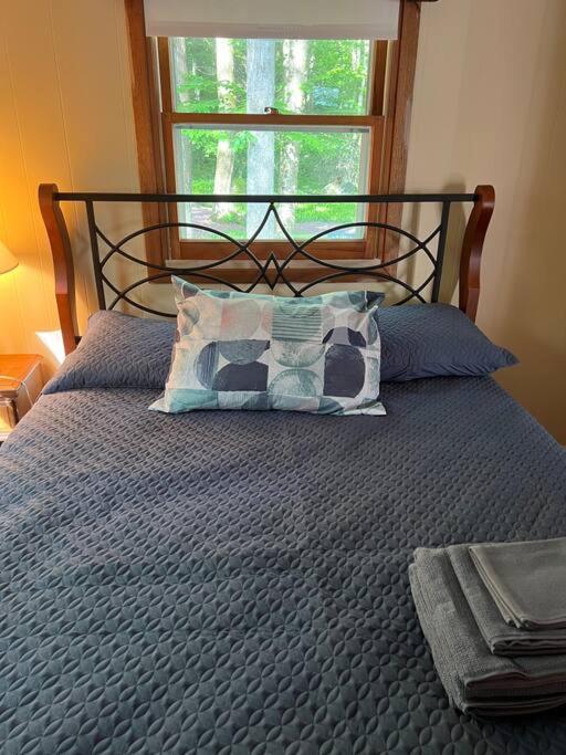New! Streamside house w/waterfall, lake/beach/pool - Housity
