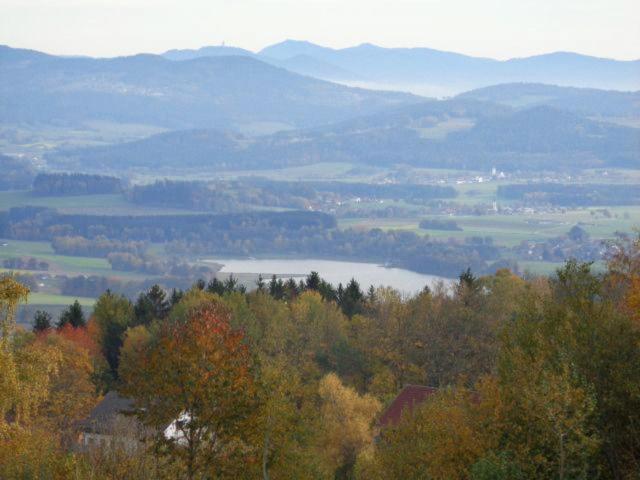 Finkhaus - Hizvo