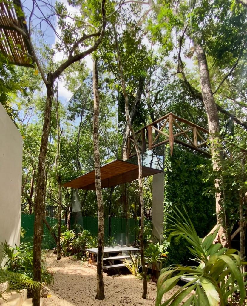 Invisible House Tulum - Jungle Studio - Housity