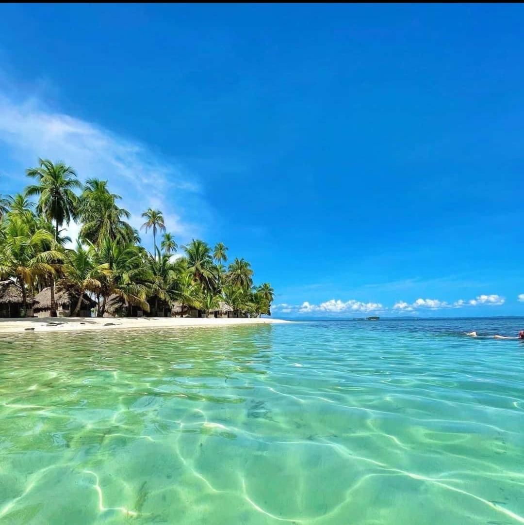 Arridub Island-Iguana - Housity