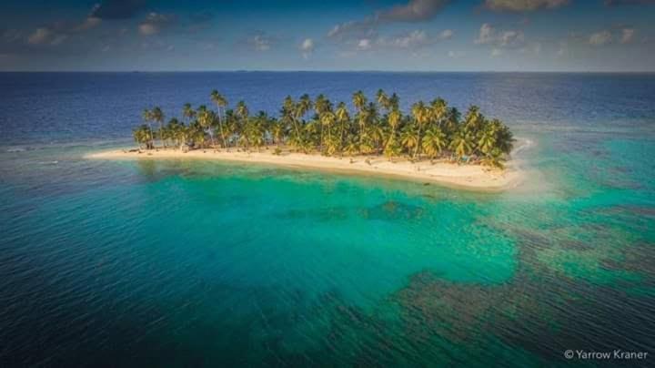 Arridub Island-Iguana - Housity