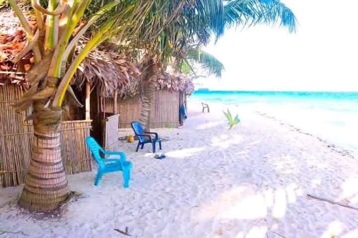 Arridub Island-Iguana - Housity