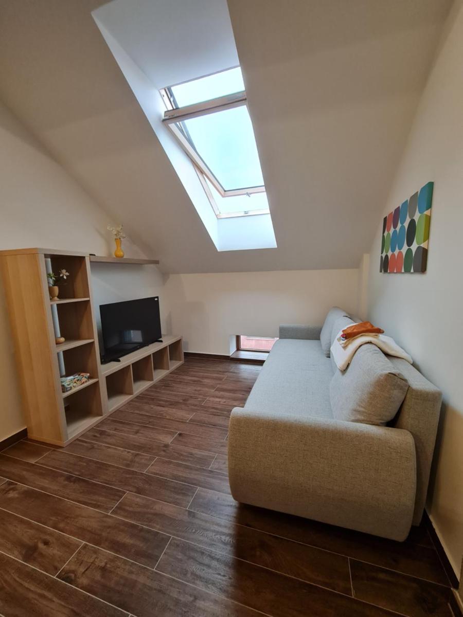 Stylowe studio w centrum Leżajska - Housity