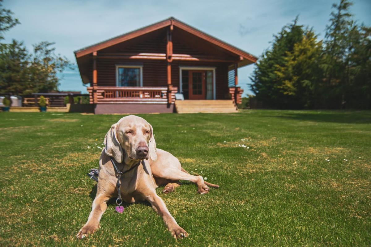 Tomatin - Luxury Two Bedroom Log Cabin with Hot Tub - Housity