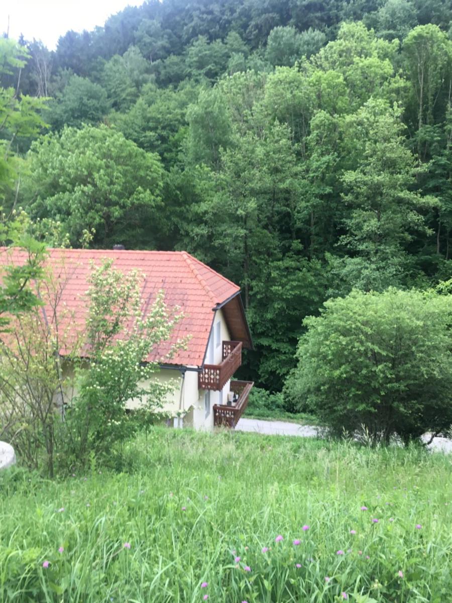 Suitetrails - NiceHead spacious nest between Maribor and Celje