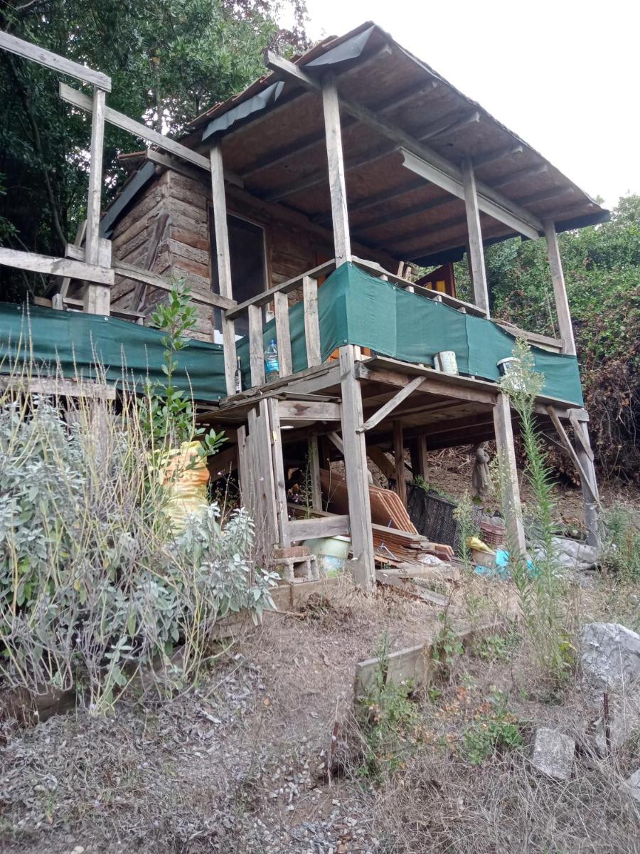 Kiwi Ba? evi - Housity