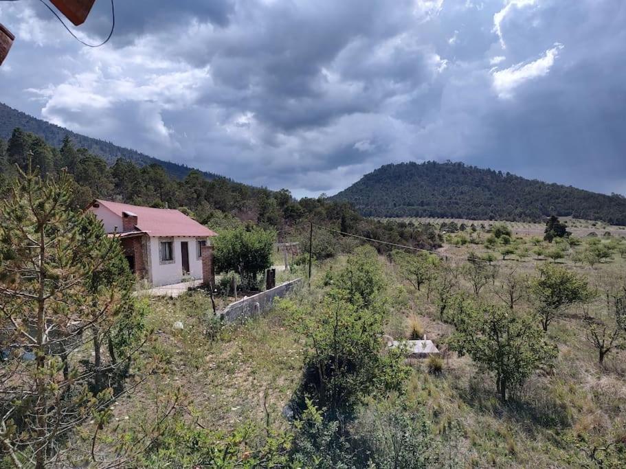 Hermosa Cabaña La Princesa - Housity