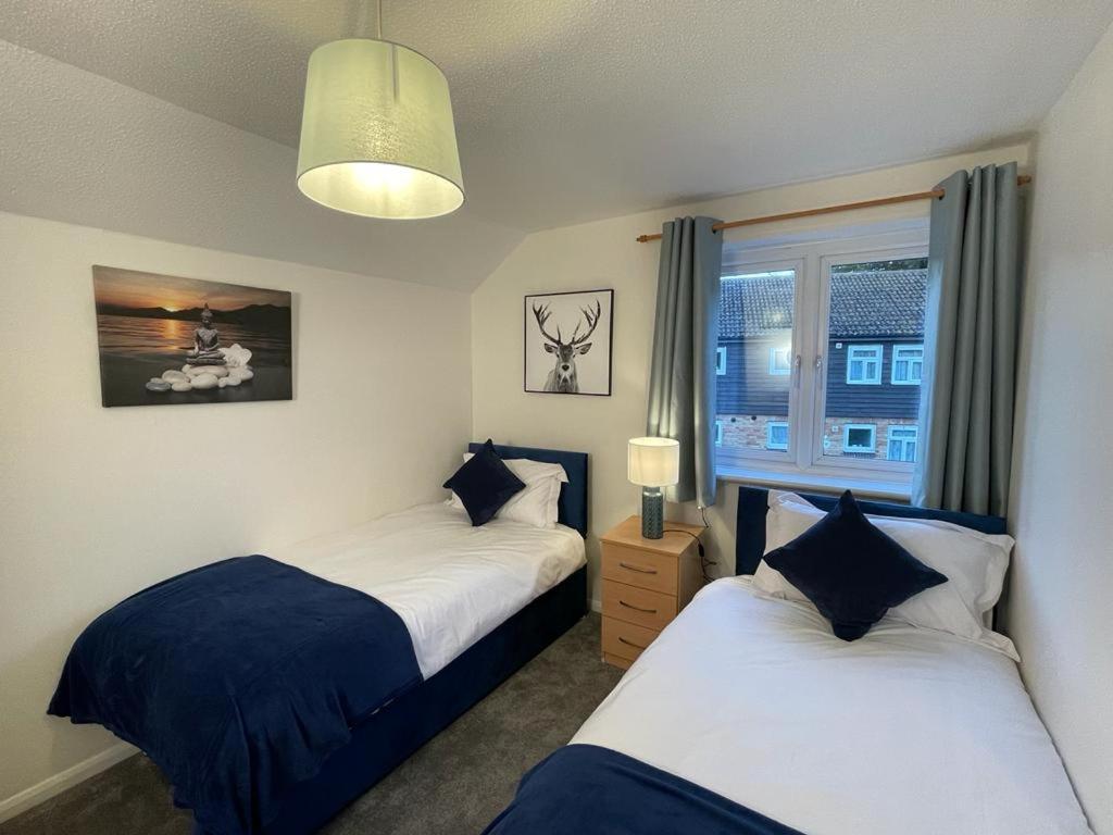 3-bedroom home with free parking - Housity