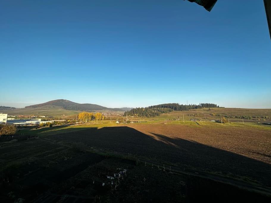 Harmony apartman - Miercurea Ciuc - Housity