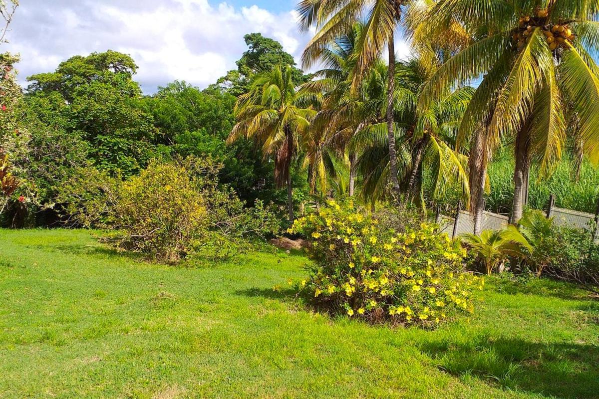 Appartement d'une chambre avec terrasse amenagee et wifi a Le Robert - Housity