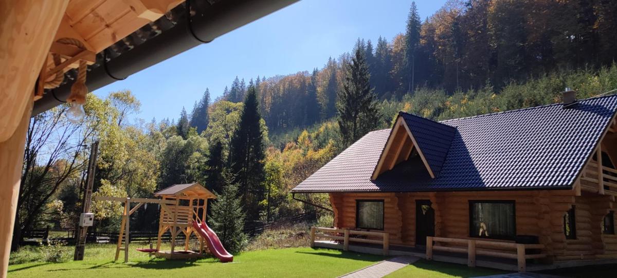Wild tree house - Housity