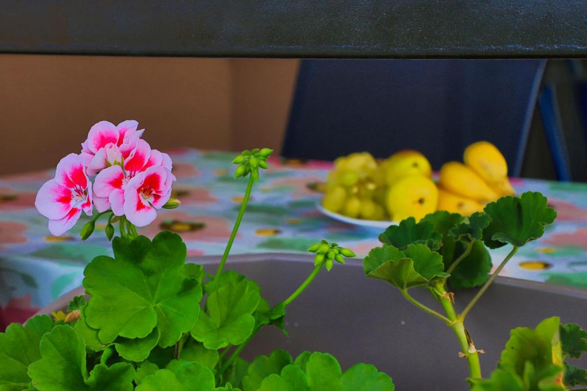 Suitetrails - Holiday Homes Pozitiva