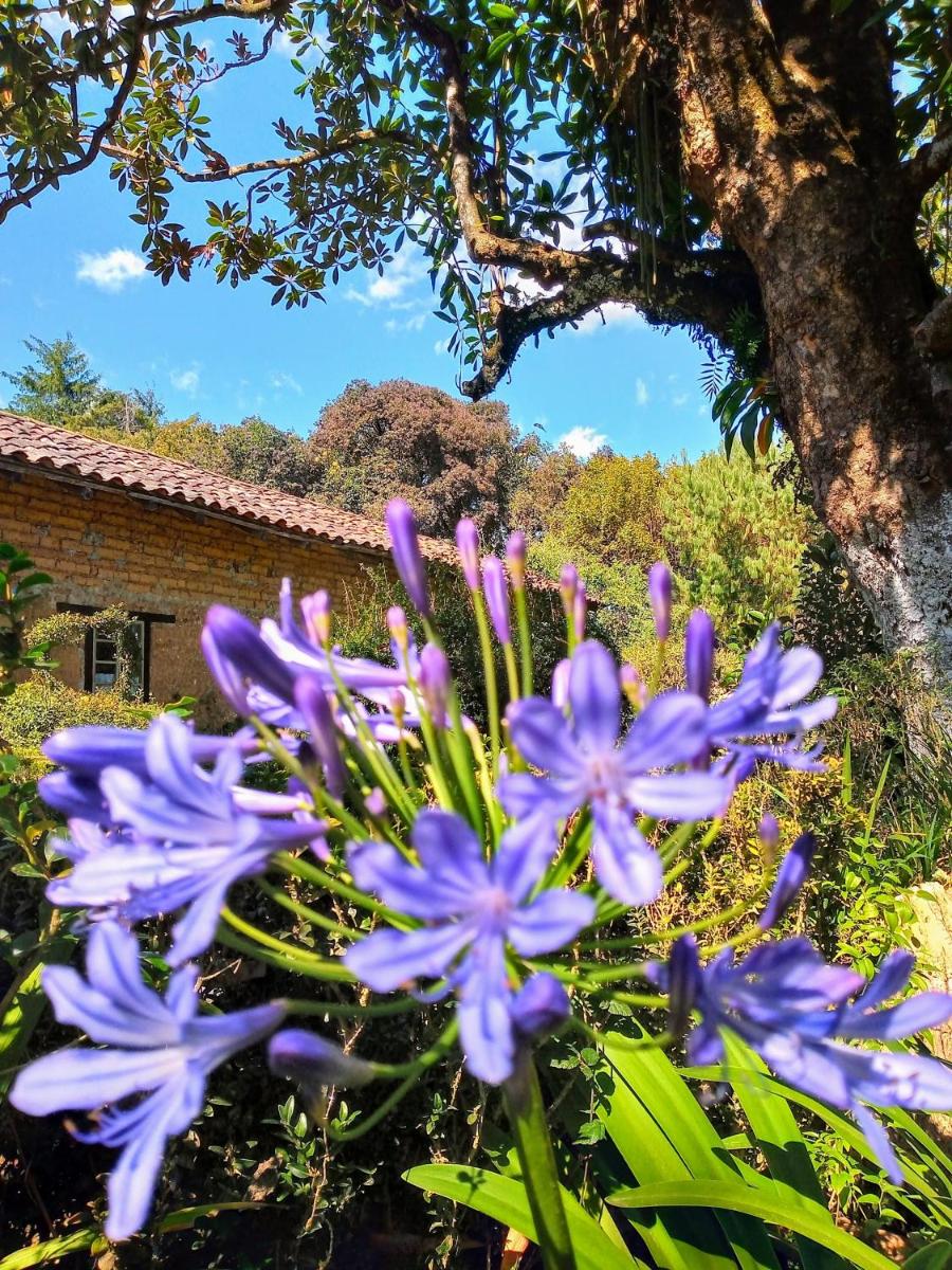 Suitetrails - Rancho Coyotepec