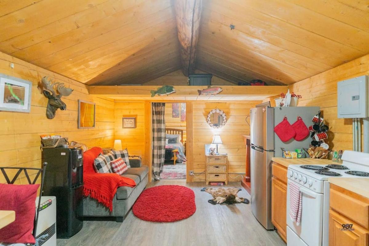 1 Bd. Deluxe Log DRY Cabin| Views Northern Lights! - Housity