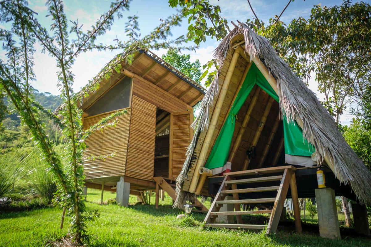 La Perla Negra - Black Pearl Eco Hostel - Housity