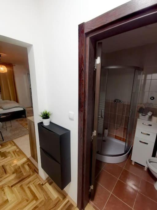 Apricus Apartment Novi Sad - Hizvo