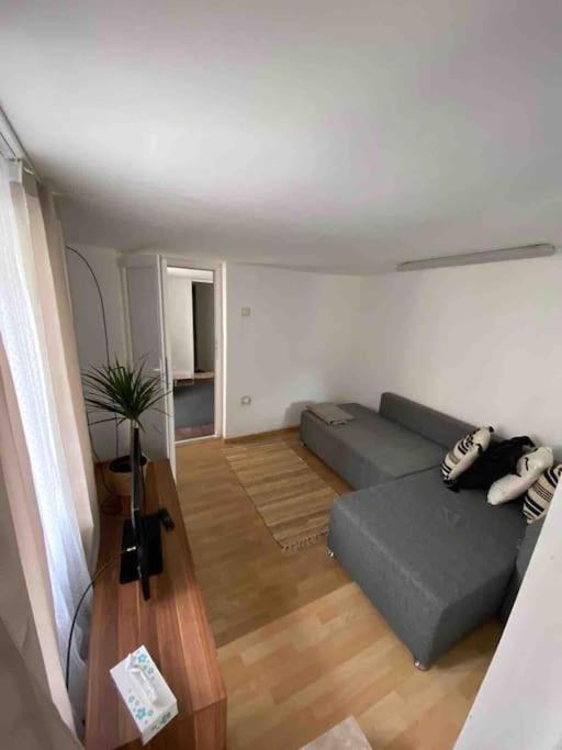 House Apartment in Timisoara - Housity