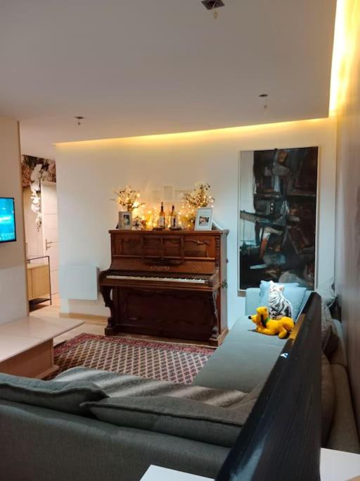 Suitetrails - Très bel appartement à Mulhouse 53m2