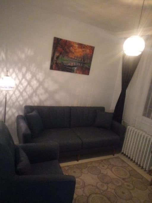 COZY FULLY AND NEWLY FURNISHED 2 BEDROOMS 1 LIVING ROOM KITCHEN - Housity
