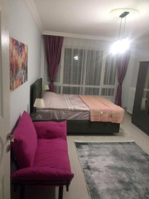 COZY FULLY AND NEWLY FURNISHED 2 BEDROOMS 1 LIVING ROOM KITCHEN - Housity