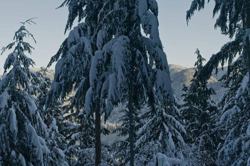 Lookout Mountain Lodge, a scenic treetop retreat - Housity