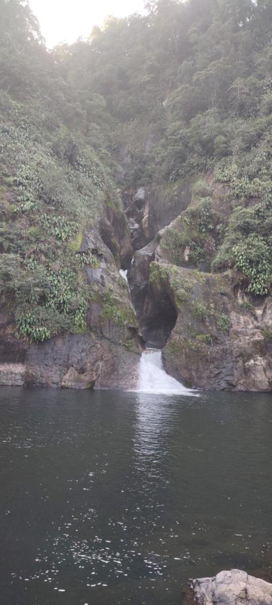 Suitetrails - Nectepec